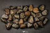 21639 -  NWA L-H Type Unclassified Ordinary Chondrite Meteorites Lot 200g