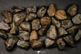 21639 -  NWA L-H Type Unclassified Ordinary Chondrite Meteorites Lot 200g