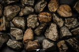 21639 -  NWA L-H Type Unclassified Ordinary Chondrite Meteorites Lot 200g