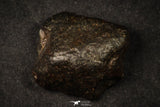 21639 -  NWA L-H Type Unclassified Ordinary Chondrite Meteorites Lot 200g