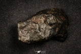 21639 -  NWA L-H Type Unclassified Ordinary Chondrite Meteorites Lot 200g