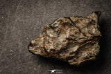 21639 -  NWA L-H Type Unclassified Ordinary Chondrite Meteorites Lot 200g