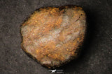 21639 -  NWA L-H Type Unclassified Ordinary Chondrite Meteorites Lot 200g