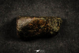 21639 -  NWA L-H Type Unclassified Ordinary Chondrite Meteorites Lot 200g