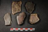 21640 - Beautiful Polished Section Lot NWA Unclassified L-H Type Ordinary Chondrite Meteorite 36.0g