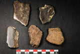 21640 - Beautiful Polished Section Lot NWA Unclassified L-H Type Ordinary Chondrite Meteorite 36.0g