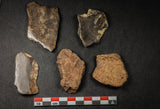 21640 - Beautiful Polished Section Lot NWA Unclassified L-H Type Ordinary Chondrite Meteorite 36.0g
