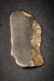 21640 - Beautiful Polished Section Lot NWA Unclassified L-H Type Ordinary Chondrite Meteorite 36.0g