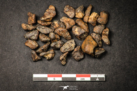 21642 - Lot of "Agoudal" Imilchil Iron Lot IIAB Meteorite 27.0g
