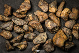 21642 - Lot of "Agoudal" Imilchil Iron Lot IIAB Meteorite 27.0g