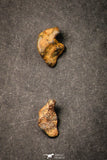 21642 - Lot of "Agoudal" Imilchil Iron Lot IIAB Meteorite 27.0g