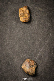 21642 - Lot of "Agoudal" Imilchil Iron Lot IIAB Meteorite 27.0g