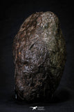 21534 - Huge Complete NWA L-H Type Unclassified Ordinary Chondrite Meteorite 2600g