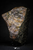 21535 - Huge  Partial Complete NWA L-H Type Unclassified Ordinary Chondrite Meteorite 3073g