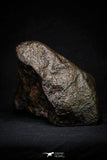 21535 - Huge  Partial Complete NWA L-H Type Unclassified Ordinary Chondrite Meteorite 3073g