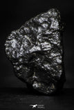 21536 - Top "Black Beauty" NWA 11921 MARTIAN METEORITE Polymict Breccia 5.95g