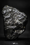 21536 - Top "Black Beauty" NWA 11921 MARTIAN METEORITE Polymict Breccia 5.95g