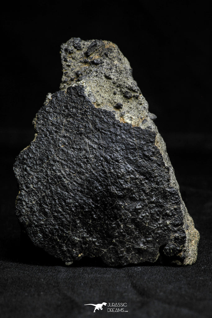 21537 - Top Rare Unclassified NWA Howardite Achondrite Meteorite 165.12g with Fusion Crust