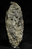 21537 - Top Rare Unclassified NWA Howardite Achondrite Meteorite 165.12g with Fusion Crust