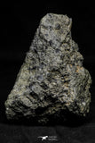 21537 - Top Rare Unclassified NWA Howardite Achondrite Meteorite 165.12g with Fusion Crust