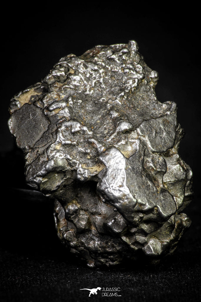 21541 - Campo del Cielo Iron IAB-MG Meteorite 43.8g Argentina