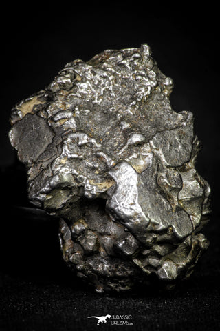 21541 - Campo del Cielo Iron IAB-MG Meteorite 43.8g Argentina