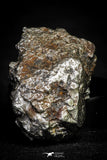 21541 - Campo del Cielo Iron IAB-MG Meteorite 43.8g Argentina