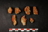 21665 -  Great Collection of 7 Red Vanadinites on Natural Manganese-Iron Oxide Matrix from Morocco