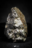 21541 - Campo del Cielo Iron IAB-MG Meteorite 43.8g Argentina