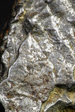 21542 - Campo del Cielo Iron IAB-MG Meteorite 37.5g Argentina