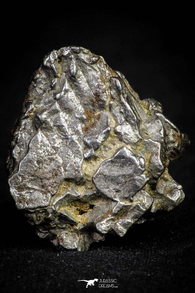 21542 - Campo del Cielo Iron IAB-MG Meteorite 37.5g Argentina