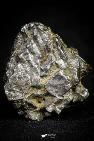 21542 - Campo del Cielo Iron IAB-MG Meteorite 37.5g Argentina