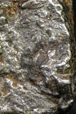 21542 - Campo del Cielo Iron IAB-MG Meteorite 37.5g Argentina