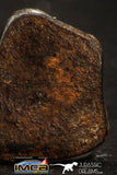 05402 - Taza (NWA 859) Iron Ungrouped Plessitic Octahedrite Meteorite 0.9g ORIENTED