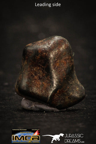 05402 - Taza (NWA 859) Iron Ungrouped Plessitic Octahedrite Meteorite 0.9g ORIENTED
