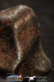 05402 - Taza (NWA 859) Iron Ungrouped Plessitic Octahedrite Meteorite 0.9g ORIENTED