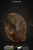 05405 - Taza (NWA 859) Iron Ungrouped Plessitic Octahedrite Meteorite 0.9g ORIENTED