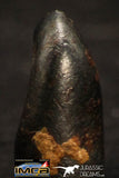 05406 - Taza (NWA 859) Iron Ungrouped Plessitic Octahedrite Meteorite 0.7g ORIENTED