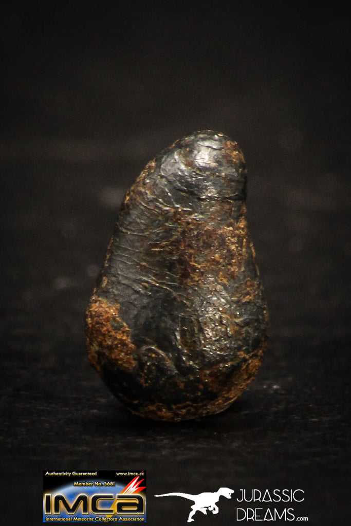 05408 - Taza (NWA 859) Iron Ungrouped Plessitic Octahedrite Meteorite 0.9g
