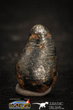 05408 - Taza (NWA 859) Iron Ungrouped Plessitic Octahedrite Meteorite 0.9g