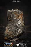 05409 - Taza (NWA 859) Iron Ungrouped Plessitic Octahedrite Meteorite 1.0g ORIENTED