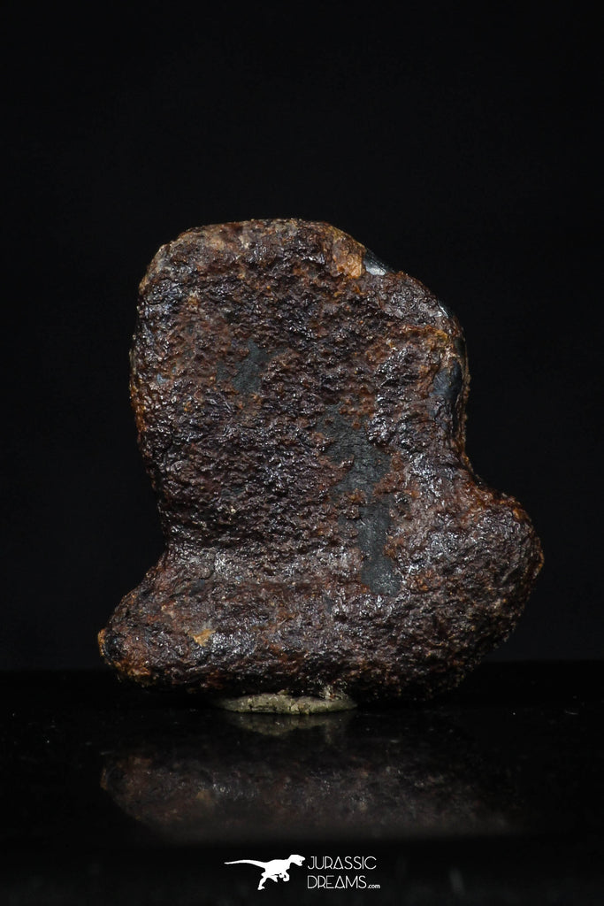 20455 - Taza (NWA 859) Iron Ungrouped Plessitic Octahedrite Meteorite 4.8g ORIENTED