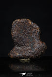 20455 - Taza (NWA 859) Iron Ungrouped Plessitic Octahedrite Meteorite 4.8g ORIENTED
