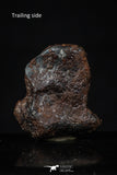 20455 - Taza (NWA 859) Iron Ungrouped Plessitic Octahedrite Meteorite 4.8g ORIENTED