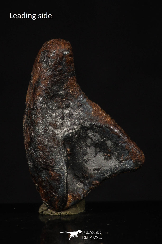 20456 - Taza (NWA 859) Iron Ungrouped Plessitic Octahedrite Meteorite 5.5g ORIENTED