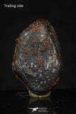 20457 - Taza (NWA 859) Iron Ungrouped Plessitic Octahedrite Meteorite 5.0g ORIENTED