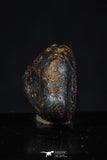 20457 - Taza (NWA 859) Iron Ungrouped Plessitic Octahedrite Meteorite 5.0g ORIENTED