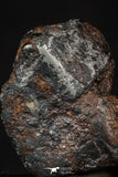 20458 - Taza (NWA 859) Iron Ungrouped Plessitic Octahedrite Meteorite 5.6g