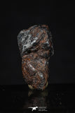 20458 - Taza (NWA 859) Iron Ungrouped Plessitic Octahedrite Meteorite 5.6g