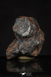 20458 - Taza (NWA 859) Iron Ungrouped Plessitic Octahedrite Meteorite 5.6g